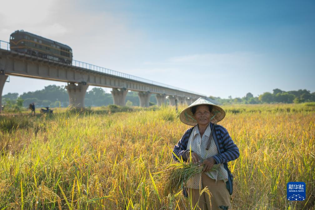老挝：秋收时节