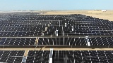 “幸福沙漠”上的新能源故事——中国信保产品供给侧创新助力海外新能源项目建设