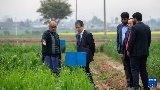 通讯｜中巴农业合作助力巴基斯坦培育小麦新品种