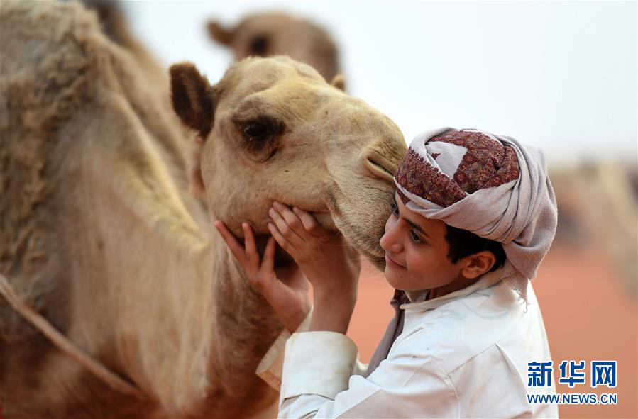 阿卜杜勒－阿齐兹国王骆驼节
