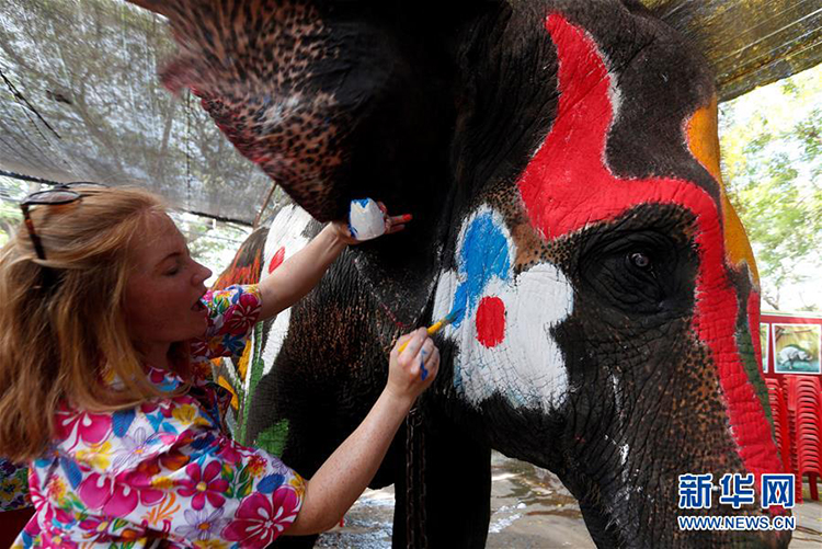 在泰国大城府的宋干节庆祝活动上，志愿者为大象进行彩绘。