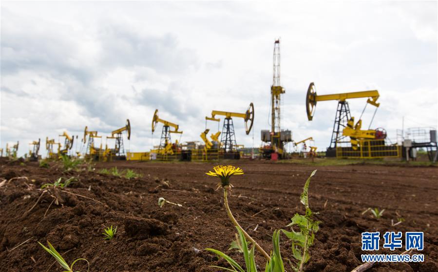 中俄最大合资在产油田项目为中俄能源合作树立典范