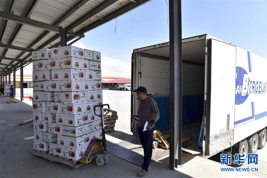 在新疆塔城市一家果蔬外贸公司，工人把出口果蔬搬运到一辆来自哈萨克斯坦的货车上。