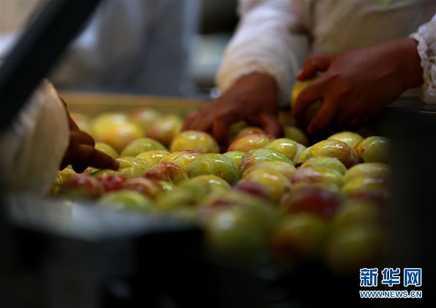 智利水果出口商的中国生意经