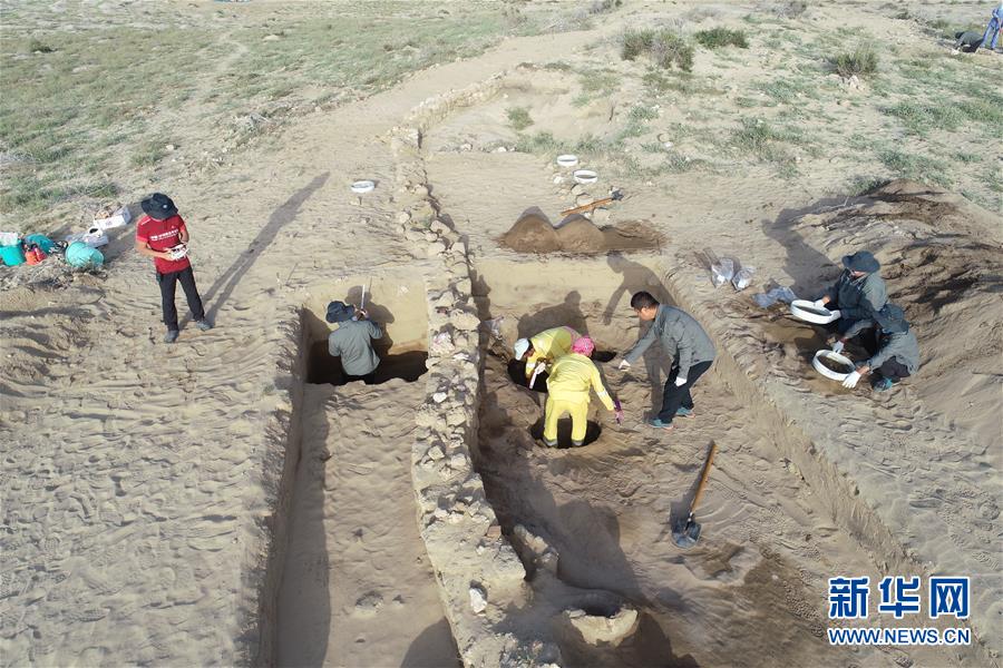 中沙联合考古队在塞林港遗址再获重要发现