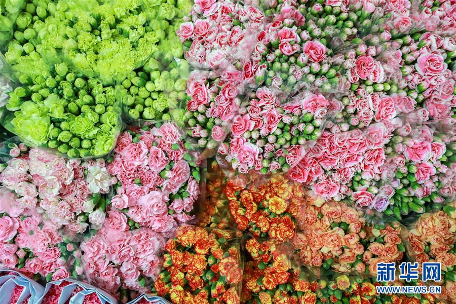 从云南田间到泰国花店——云南鲜花的南洋之旅