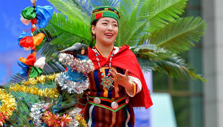 亚东首届国际边贸旅游文化节开幕
