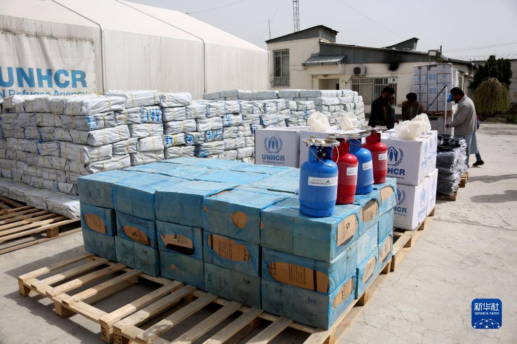 中国和联合国难民署向阿提供人道主义物资
